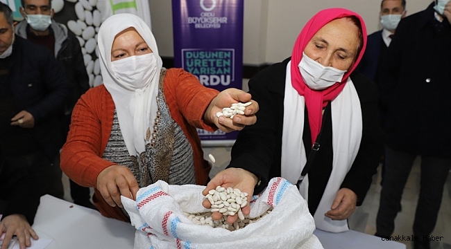 Ordu&#039;da Büyükşehir üreticinin yüzünü güldürdü