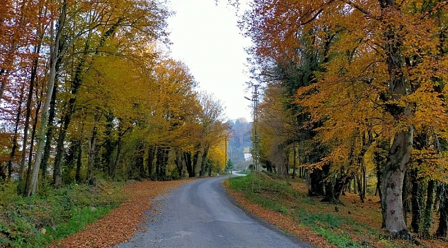 Ordu&#039;da kartpostallık kareler