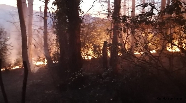 Ordu&#039;da örtü yangını evlere sıçramadan söndürüldü