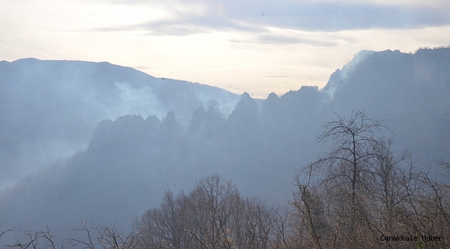Ordu'daki orman yangını kontrol altına alındı