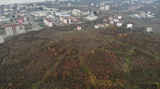 Ordu&#039;ya yapılacak bin yataklı şehir hastanesinin yeri havadan görüntülendi