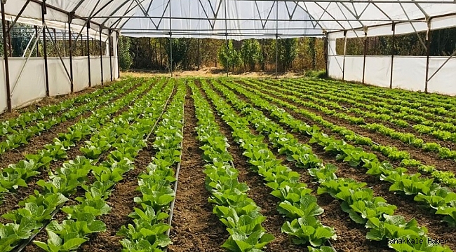 Organik Tarım Desteklemeleri müracaatları başladı