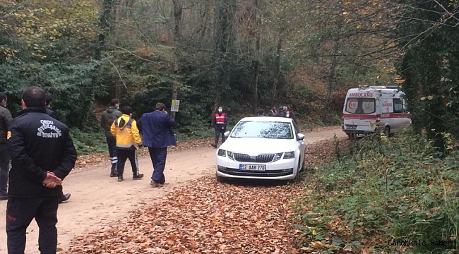 Ormanda kestiği ağaç ölümüne neden oldu