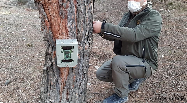 Ormanlara Fotokapanlar yerleştiriliyor