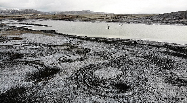 Ortaya çıkan ağaçlar, yaşanan kuraklığı ortaya koydu