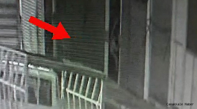 Örümcek adam gibi tırmanan hırsız yakalandı