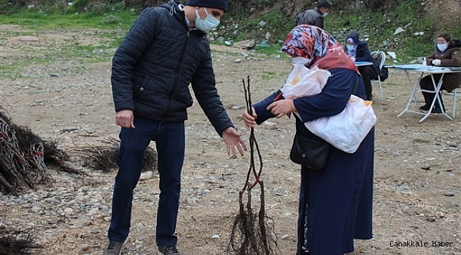 Osmaneli&#039;de çiftçilere ceviz fidanı dağıtımı yapıldı