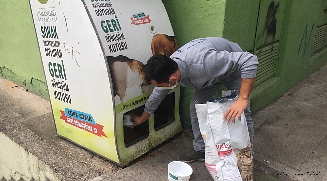 Osmangazi&#039;de sahipsiz hayvanlar besleniyor