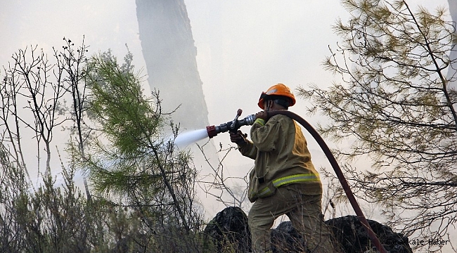 Pandemi döneminde 813 hektar alan yandı