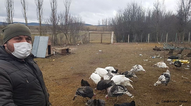 Pandemi ve yasaklar yılbaşı öncesi Eflani hindisine rağbeti azalttı