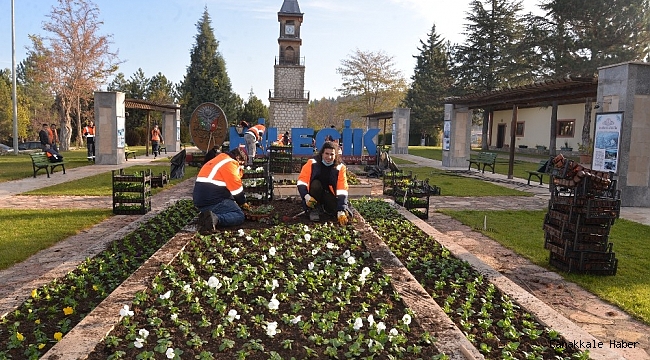 Peyzaj çalışmalarıyla Bilecik güzelleştiriyoruz