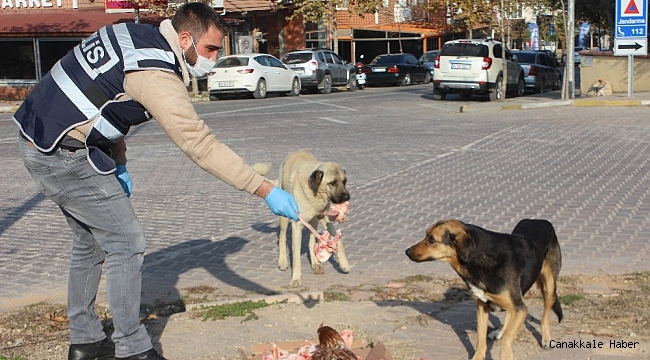 Polis ekipleri sokak hayvanlarını unutmadı