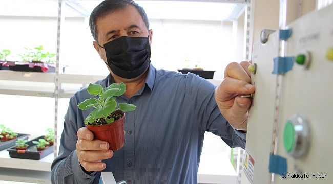 &quot;AÜ&#039;de geliştirilen 5 aşı adayından 3&#039;ü ı hayvanlar üzerinde test edildi, sonuçlar umutlandırdı