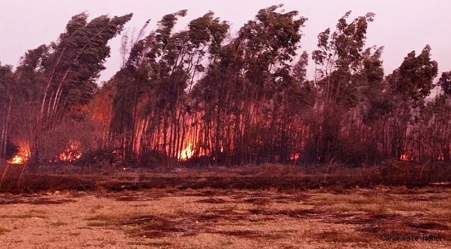 Renk cümbüşünü çekerken aman dikkat