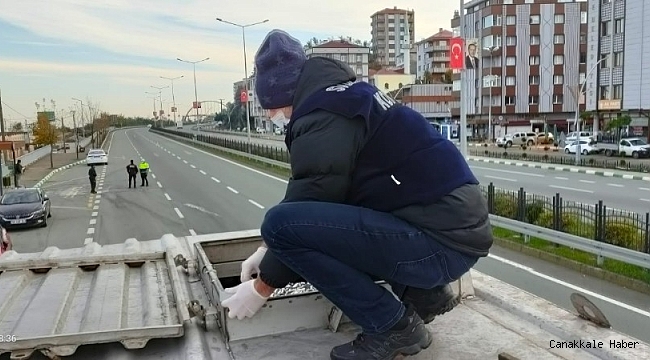 Rize'de 10 ton hamsiye el konuldu