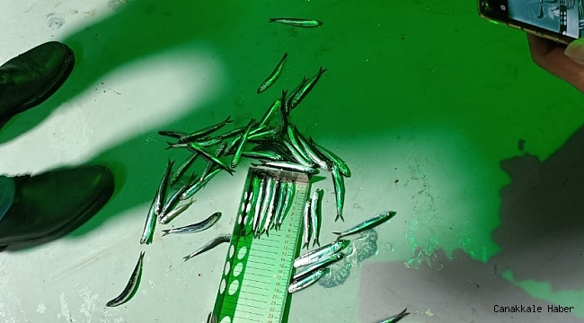 Rize&#039;de 21 ton hamsiye el konuldu