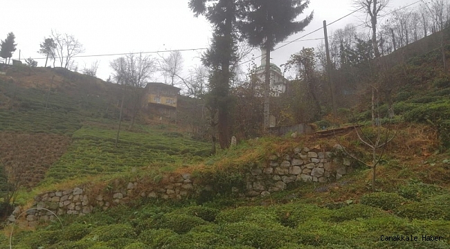 Rize&#039;de aynı ailede yaşanan korona virüs ölümlerinin ardından şok iddia