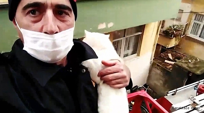 Rize'de itfaiye ekiplerinden kedi kurtarma operasyonu