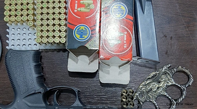 Ruhsatsız tabanca ile domuzlara ateş eden şahsa idari para cezası kesildi