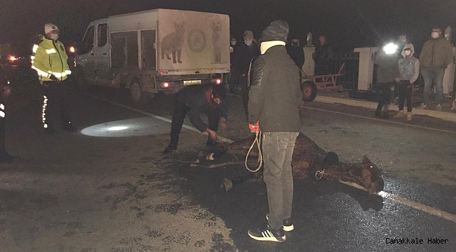 Saatlerce soğukta tedavi edilmeyi bekledi