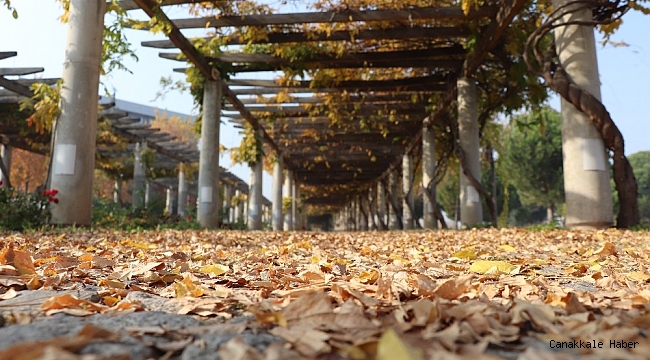 Sahipsiz hazan güzelliği görenleri cezp ediyor