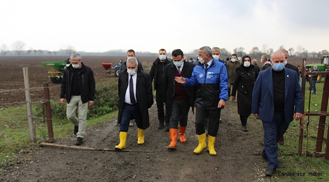 Samsun&#039;da meralar ıslah ediliyor