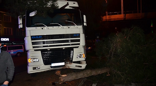 Samsun&#039;da tır ağaca çarptı: 1 yaralı