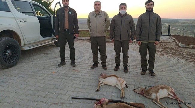 Şanlıurfa&#039;da ceylanları avlayan 4 kişi suçüstü yakalandı