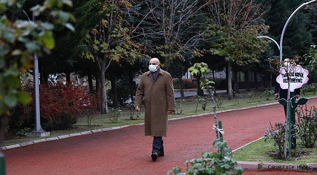 Sarının ve yeşilin her tonu Atatürk Botanik Bahçesi&#039;nde