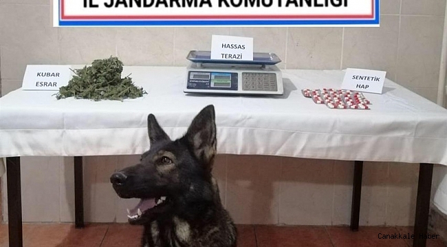 Savaştepe&#039;de uyuşturucu operasyonu