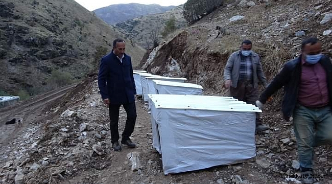 Şemdinli belediyesi sokak hayvanları için önemli bir adım attı