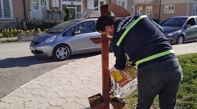 Serdivan Belediyesi sokak hayvanlarını unutmadı
