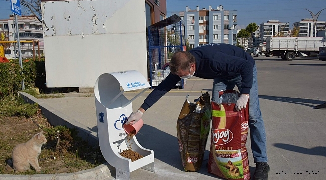 Sevimli dostlara mama desteği