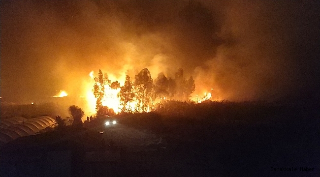 Seydikemer'de alevler seralara sıçramadan söndürüldü