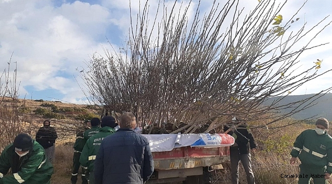 Şifa ormanı için bir araya geldiler