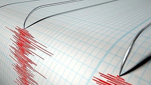Siirt deprem ile sarsıldı