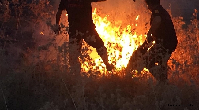 Siirt itfaiyesi 2020 yılında bin 618 olaya müdahale etti