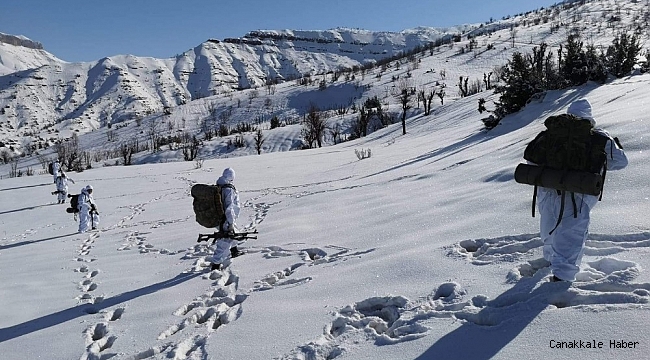 Siirt'te Yıldırım-17 Besta operasyonu devam ediyor