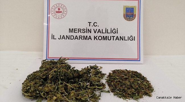 Silifke&#039;de uyuşturucu kullanan 1 kişi yakalandı