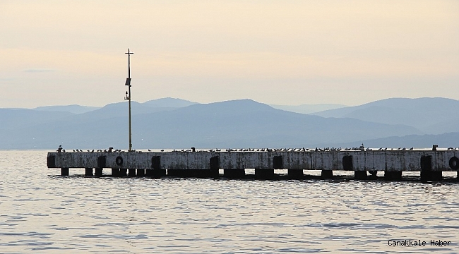 Sinop'ta iskele martılara kaldı