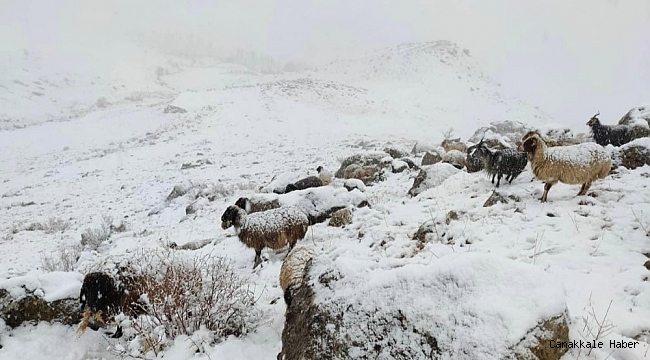 Şırnak&#039;ta dağlar beyaza büründü
