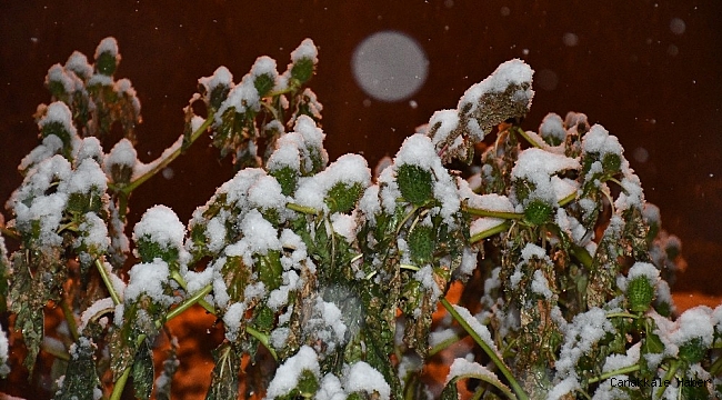 Şırnak&#039;ta kar nedeniyle 18 köy yolu ulaşıma kapandı