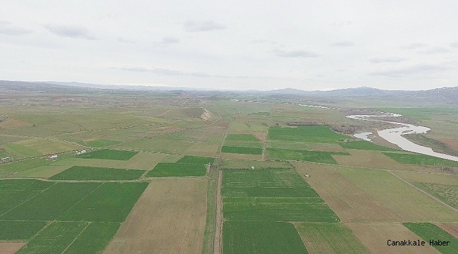 Sivas&#039;ta 1 yılda 19 bin 242 hektar alan tapulaştırıldı