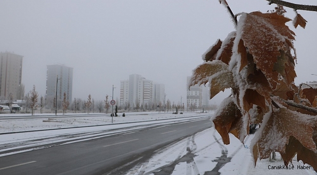 Sivas&#039;ta yoğun kırağı