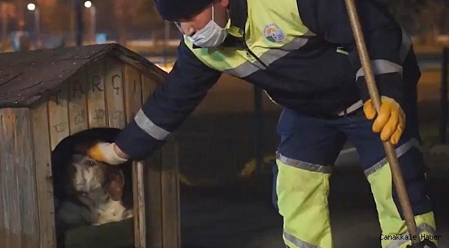 Siz evde kalın, Onlar bize emanet