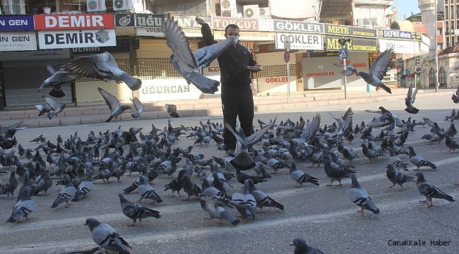 Sokağa çıkma kısıtlamasında güvercinleri besledi
