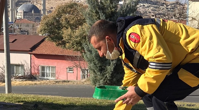 Sokağa çıkma yasağında sokak hayvanları unutulmadı
