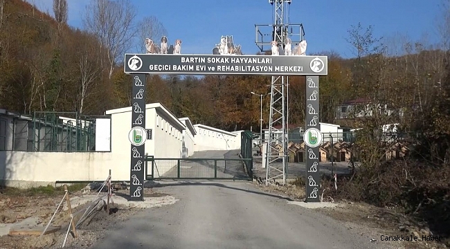 Sokak hayvanları için otel konforunda geçici bakım merkezi