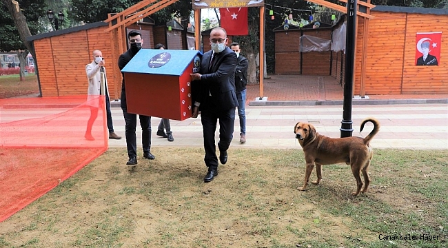 Sokak hayvanları yeni yuvalarına kavuştu