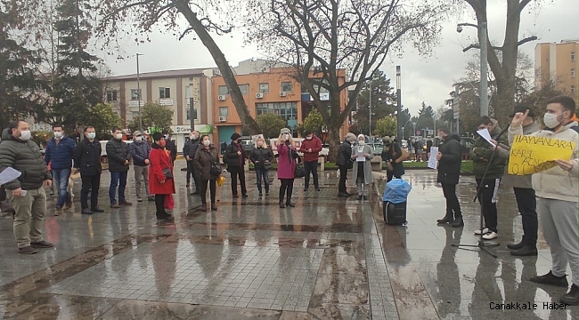Sokak hayvanlarına eziyete tepki gösterdiler